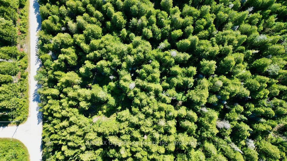 Lot 30 Myles Drive, Northern Bruce Peninsula, ON N0H 2R0 – photo 2