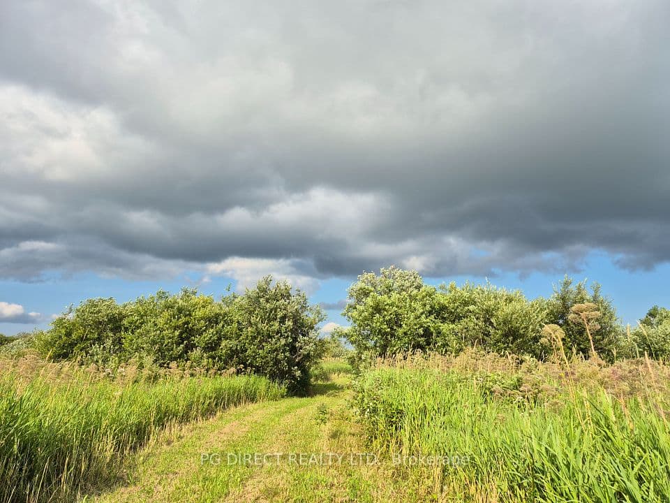 132681 Southgate Sideroad 13, Southgate, ON N0C 1B0 – photo 3