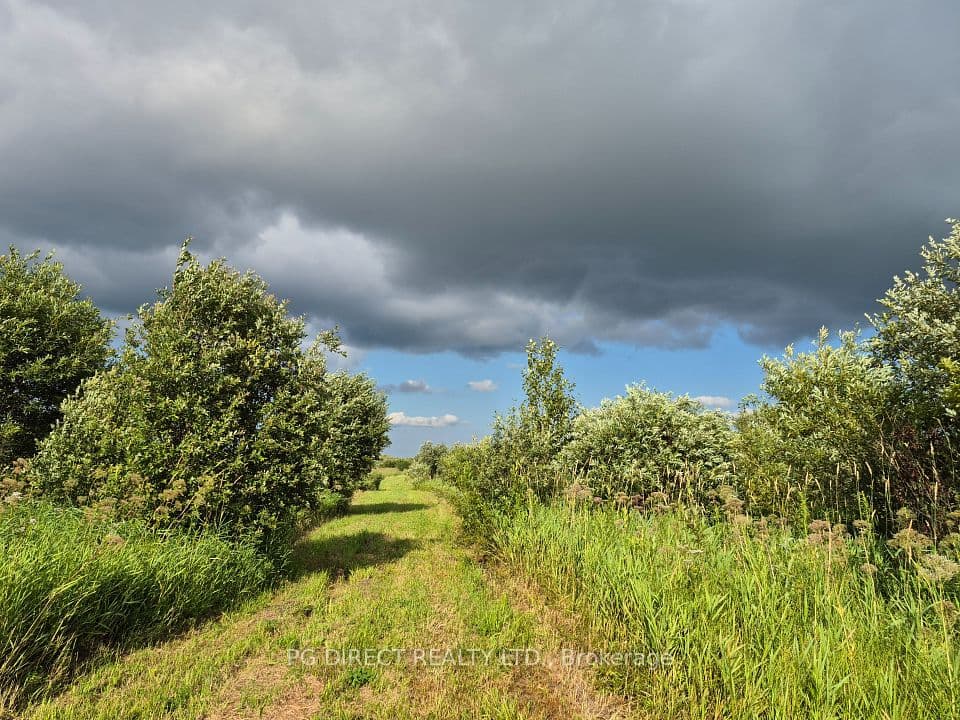 132681 Southgate Sideroad 13, Southgate, ON N0C 1B0 – photo 2