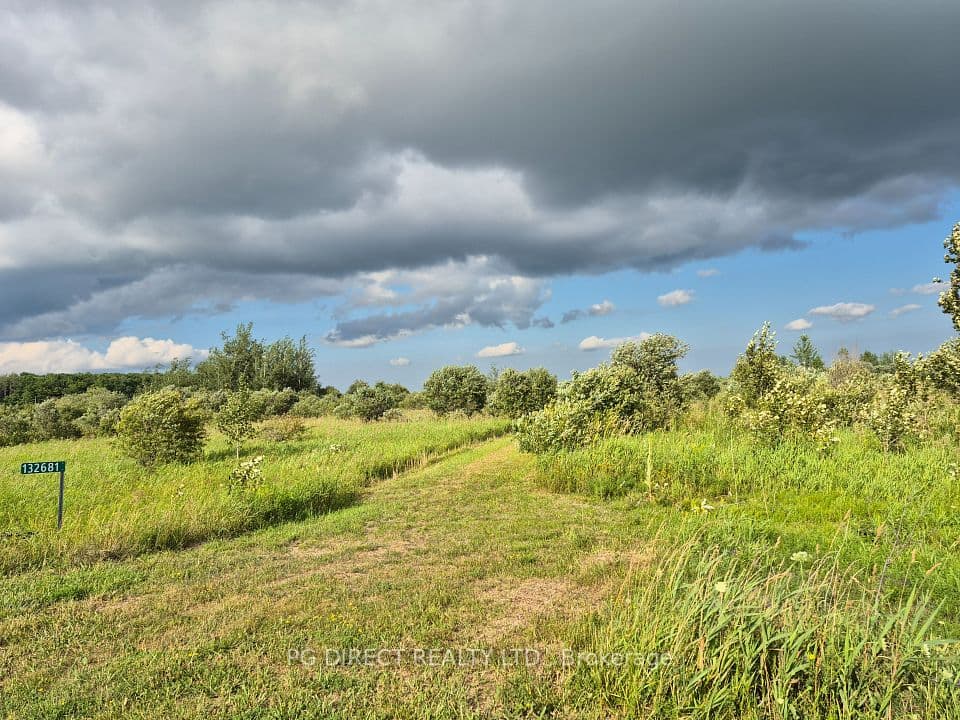 132681 Southgate Sideroad 13, Southgate, ON N0C 1B0 – main photo