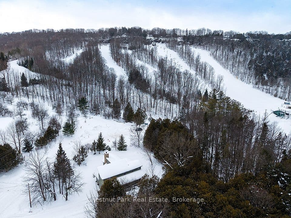 170 Mary B's Lane, Grey Highlands, ON N0C 1H0 – photo 2