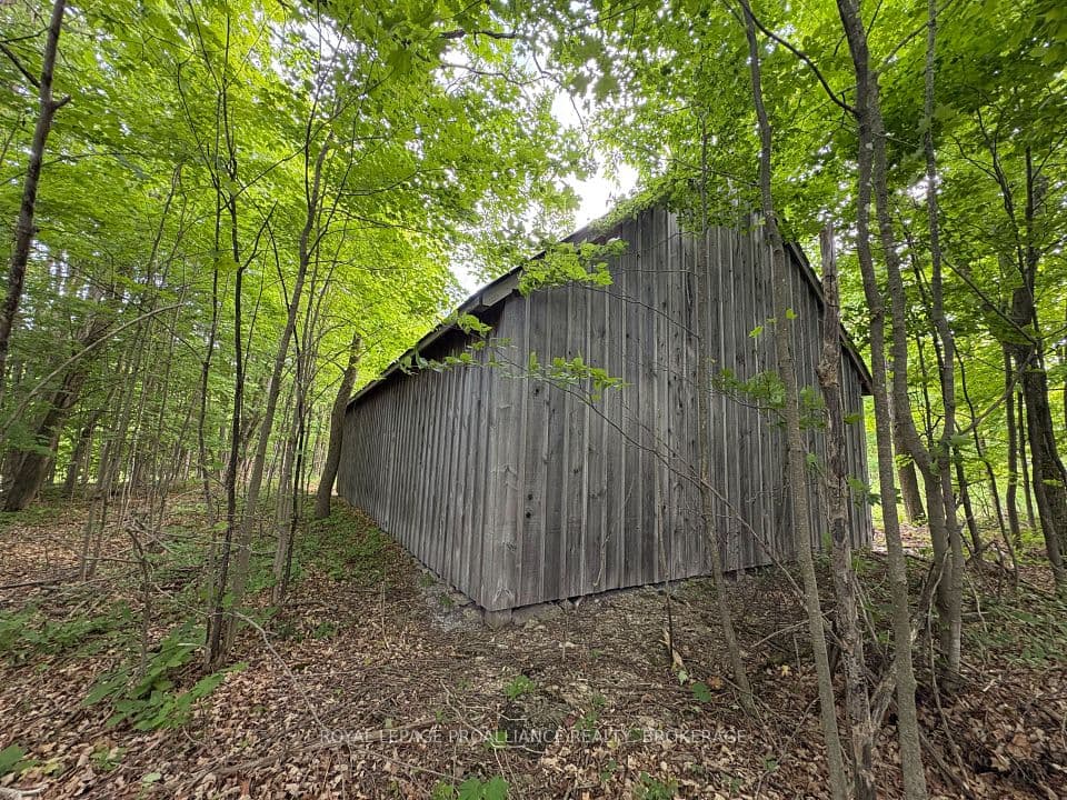 Lot 3 Jamieson Road, Frontenac, ON K0H 1V0 – photo 3