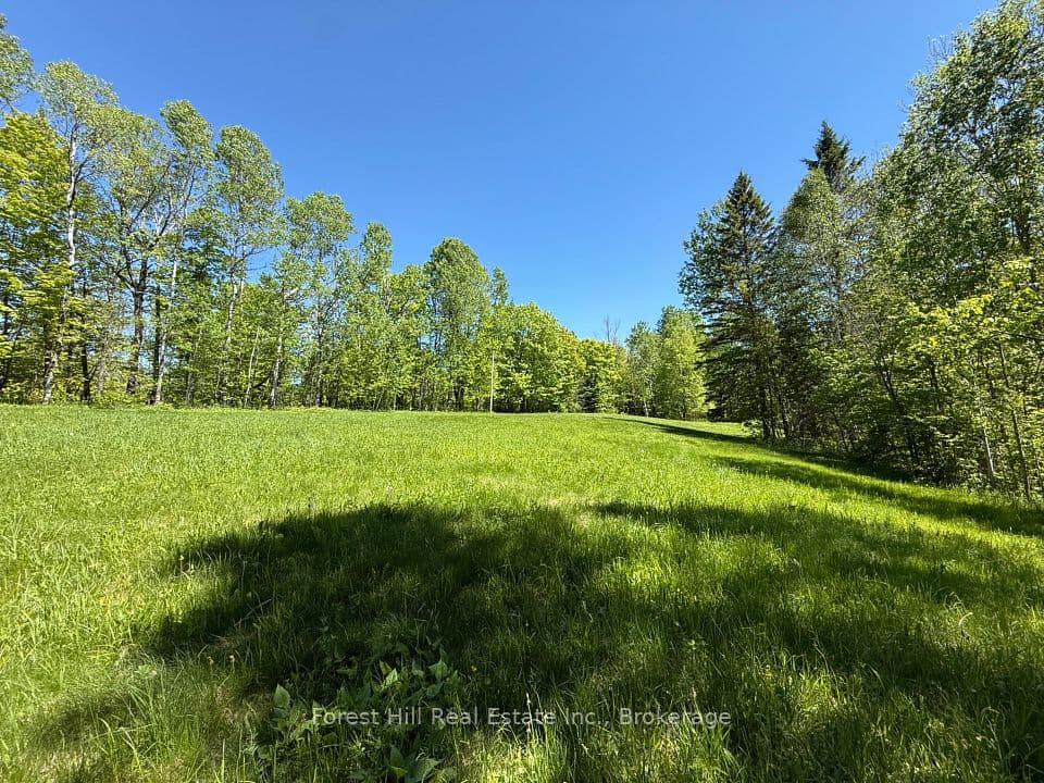 0 East Road, Parry Sound Remote Area, ON P0H 1S0 – photo 2