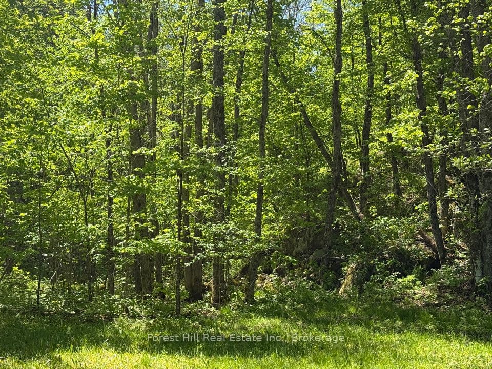 0 East Road, Parry Sound Remote Area, ON P0H 1S0 – photo 3