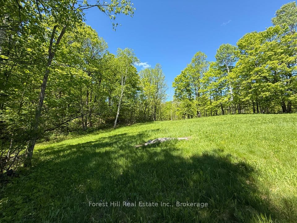 0 East Road, Parry Sound Remote Area, ON P0H 1S0 – main photo