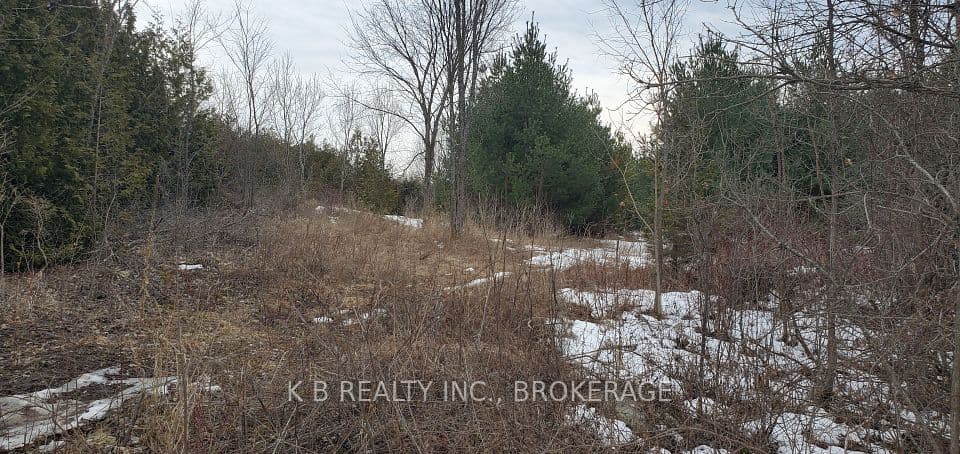 344 Adair Road, Stone Mills, ON K0K 3G0 – photo 2