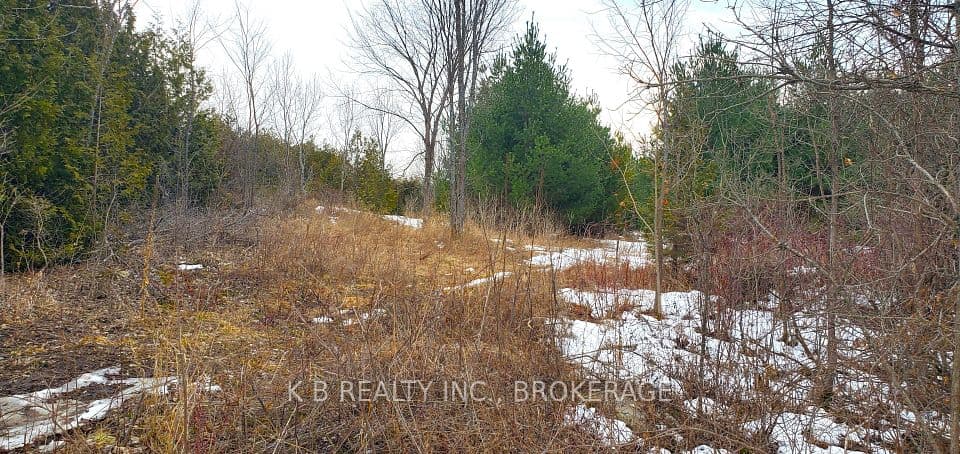 344 Adair Road, Stone Mills, ON K0K 3G0 – main photo
