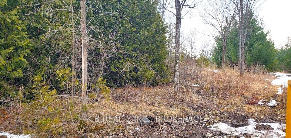 344 Adair Road, Stone Mills, ON K0K 3G0 – photo 3