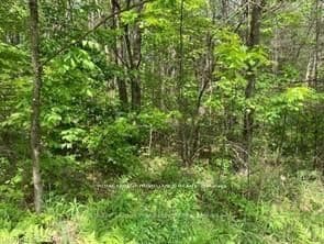 338 Glen Allen Road S, Marmora and Lake, ON K0K 2M0 – photo 3
