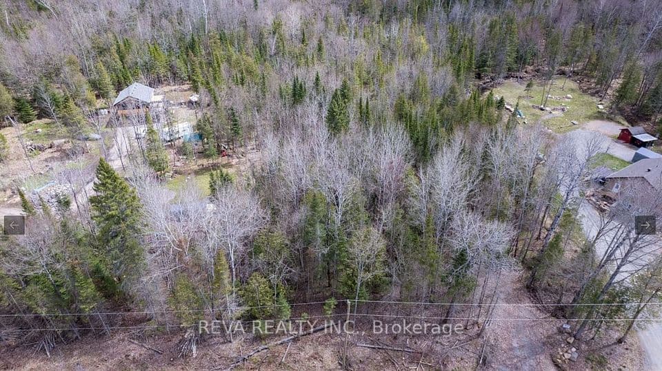 1755 South Baptiste Lake Road, Hastings Highlands, ON K0L 1C0 – photo 3
