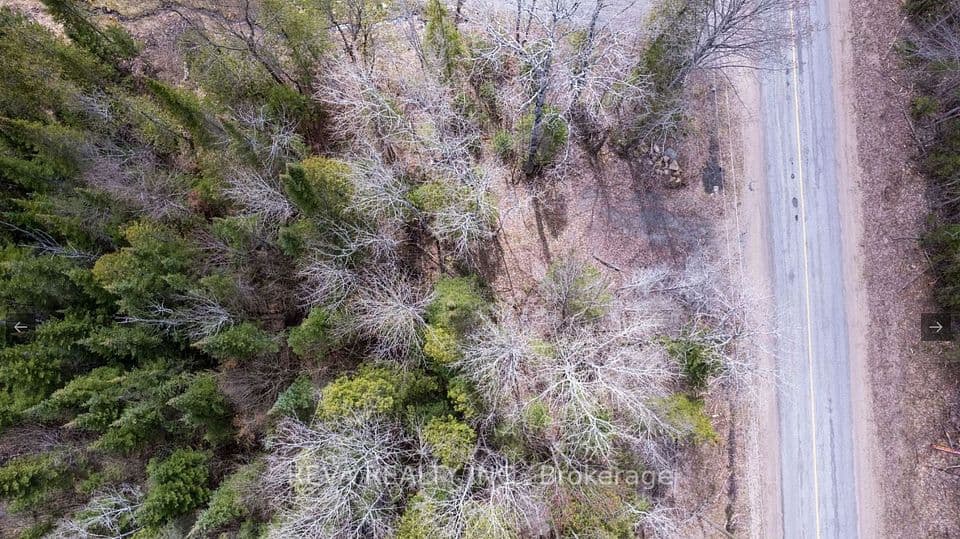 1755 South Baptiste Lake Road, Hastings Highlands, ON K0L 1C0 – photo 2