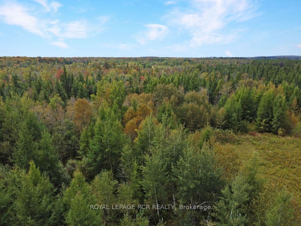 1125XX GREY ROAD 14 Road, Southgate, ON N0C 1B0 – photo 3