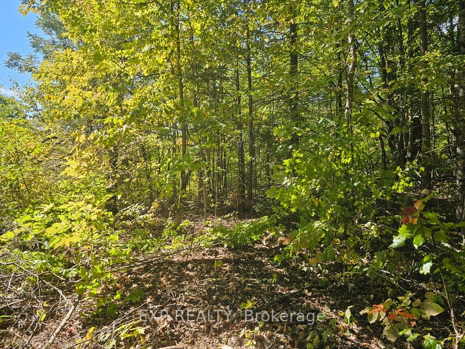 Part Lot 32 and 33 Part 2 Conc 1 Concession, Minden Hills, ON K0M 1X0 – main photo