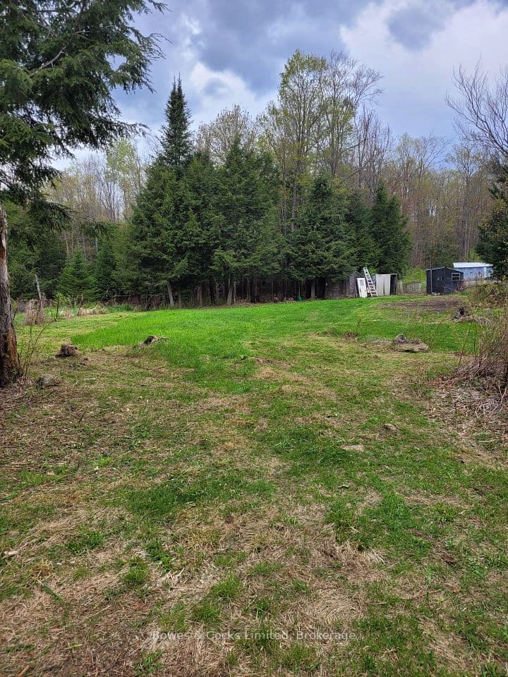 246 Hickey Trail, Hastings Highlands, ON K0L 1C0 – photo 3
