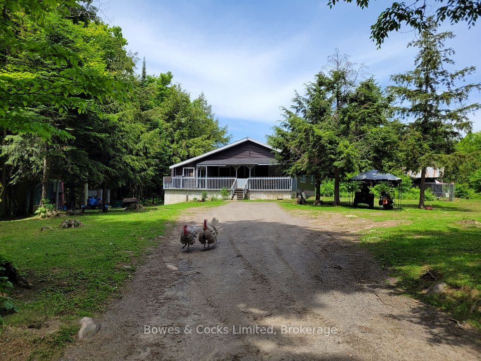 246 Hickey Trail, Hastings Highlands, ON K0L 1C0 – main photo