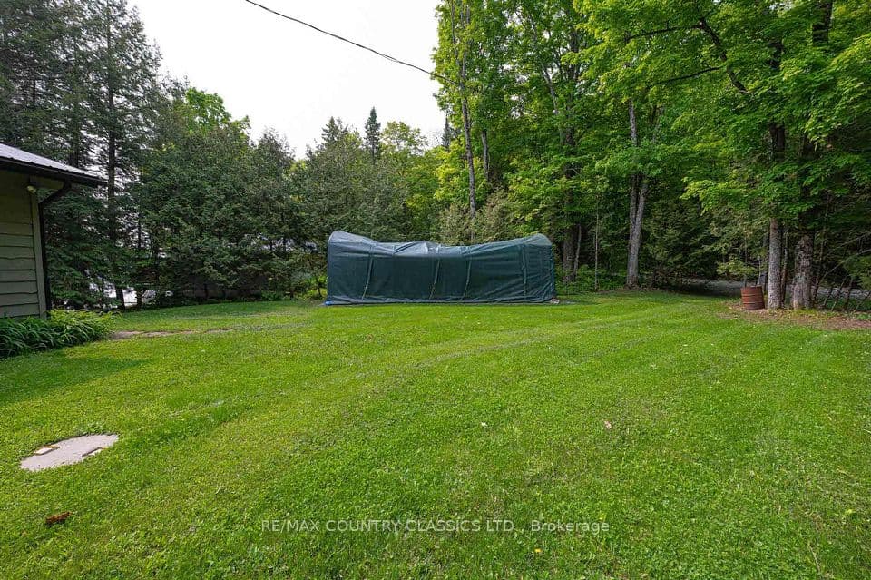 217 Moffat Road, North Kawartha, ON K0L 1A0 – photo 2