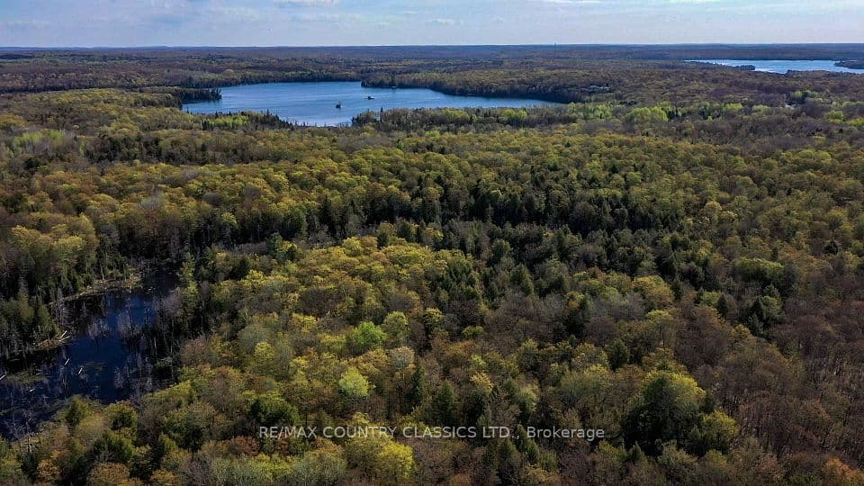 0 Trotter Oitment Road N, North Kawartha, ON K0L 1A0 – photo 2