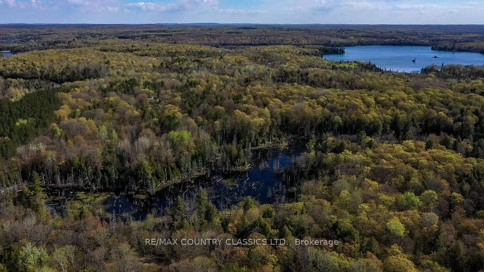 0 Trotter Oitment Road N, North Kawartha, ON K0L 1A0 – photo 3