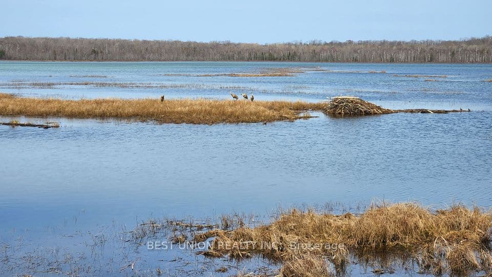 LOT1 Red Bay Road, South Bruce Peninsula, ON N0H 2T0 – photo 3