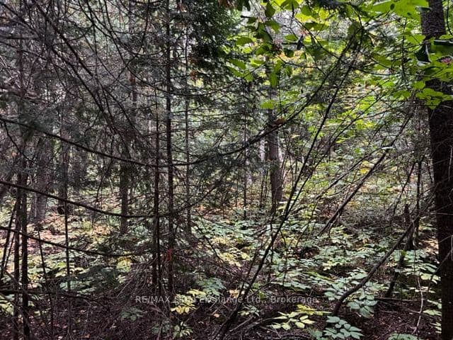 4 SHORE Road, Saugeen Shores, ON N0H 2L0 – main photo