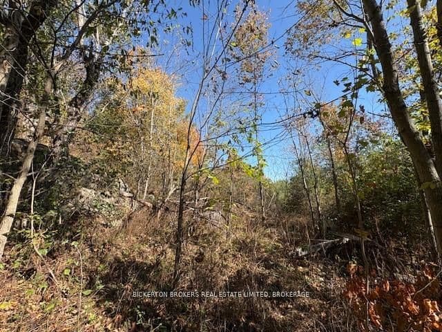 254 Briar Hill Road, Leeds and the Thousand Islands, ON K0E 1N0 – photo 3