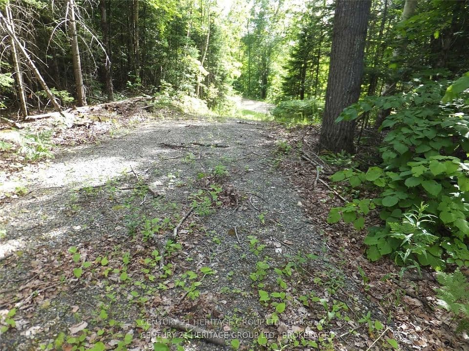 2080 Glamor Lake Road, Highlands East, ON K0M 1R0 – photo 2