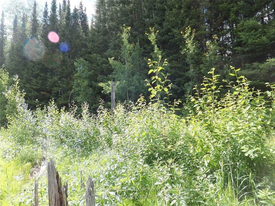 2080 Glamor Lake Road, Highlands East, ON K0M 1R0 – main photo