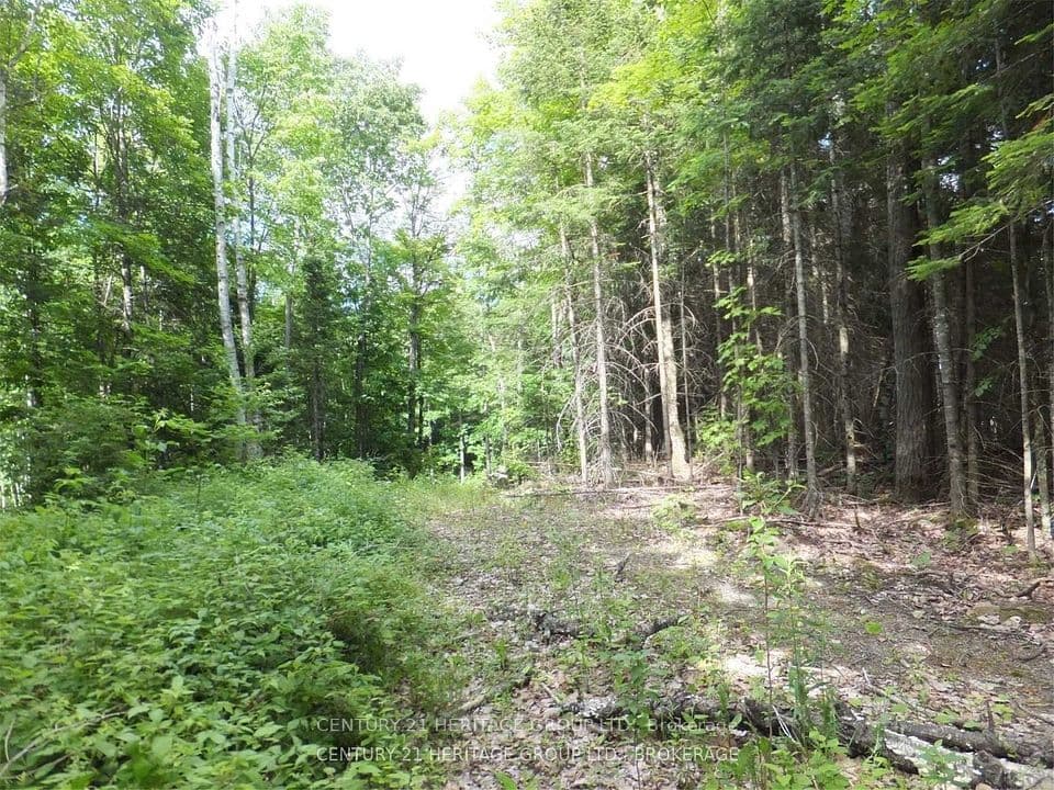 2080 Glamor Lake Road, Highlands East, ON K0M 1R0 – photo 3