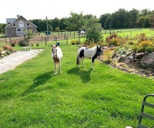 303 Escott Rockport Road, Leeds and the Thousand Islands, ON K0E 1R0 – main photo