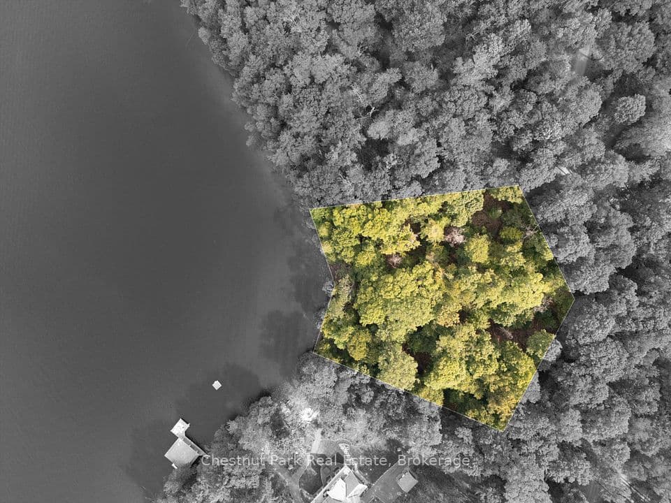 300 Bigwin Island, Lake of Bays, ON P0B 1A0 – main photo