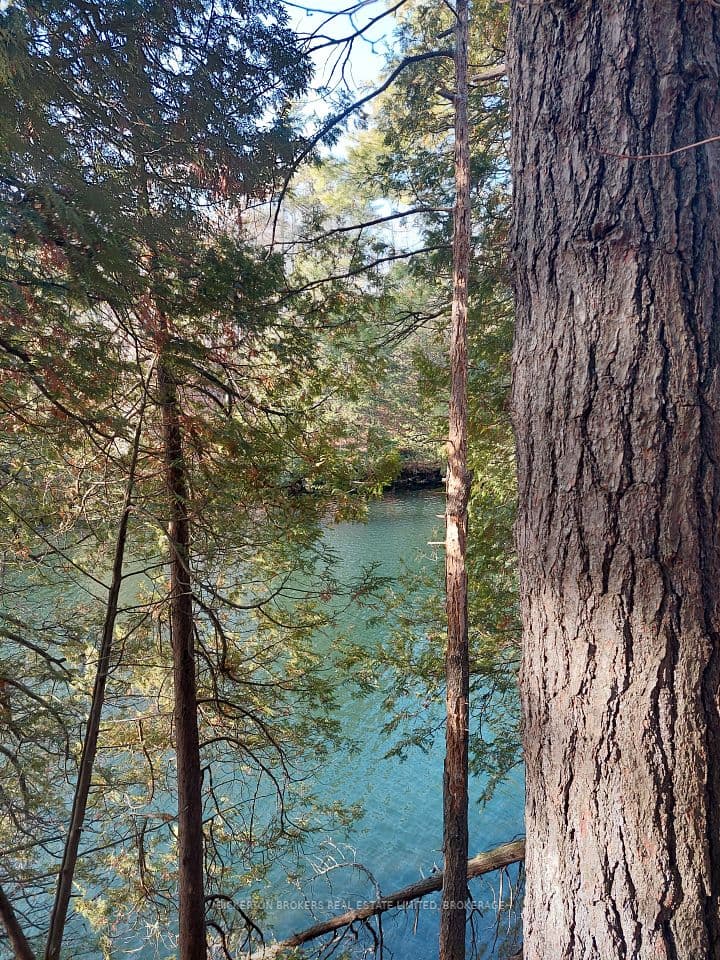 0 Murphy's Island, Leeds and the Thousand Islands, ON K0H 2N0 – photo 3