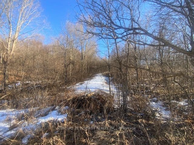 00 Lot 1 County Rd 10 Road, Rideau Lakes, ON K0G 1X0 – photo 3