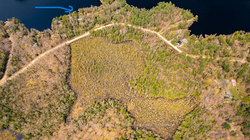 1356 Dickie Lake Road, Lake of Bays, ON P0B 1A0 – photo 3