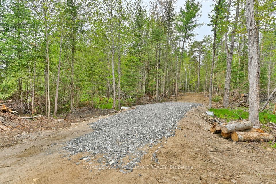 1031 Road 506, North Frontenac, ON K0H 1K0 – photo 3