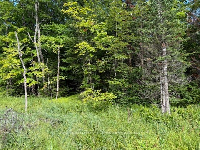 1788 Old Muskoka Road, Huntsville, ON P0B 1M0 – photo 2