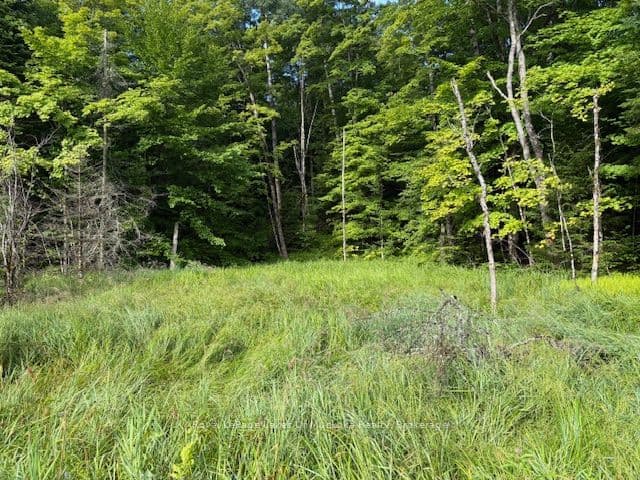 1788 Old Muskoka Road, Huntsville, ON P0B 1M0 – main photo