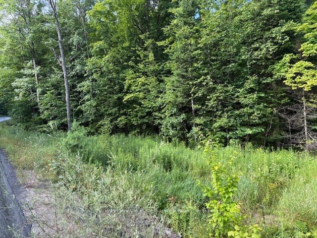 1788 Old Muskoka Road, Huntsville, ON P0B 1M0 – photo 3