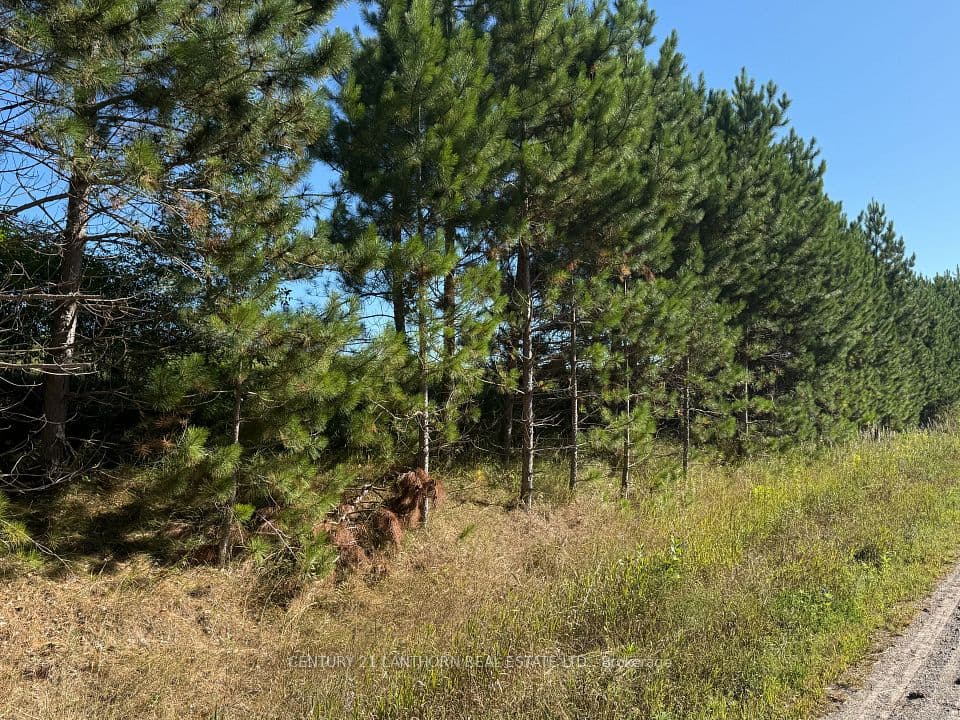 0 Deloro Road, Madoc, ON K0K 2K0 – photo 2