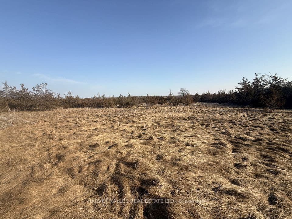 Lot 63 Oram Road, Prince Edward County, ON K0K 1G0 – photo 2