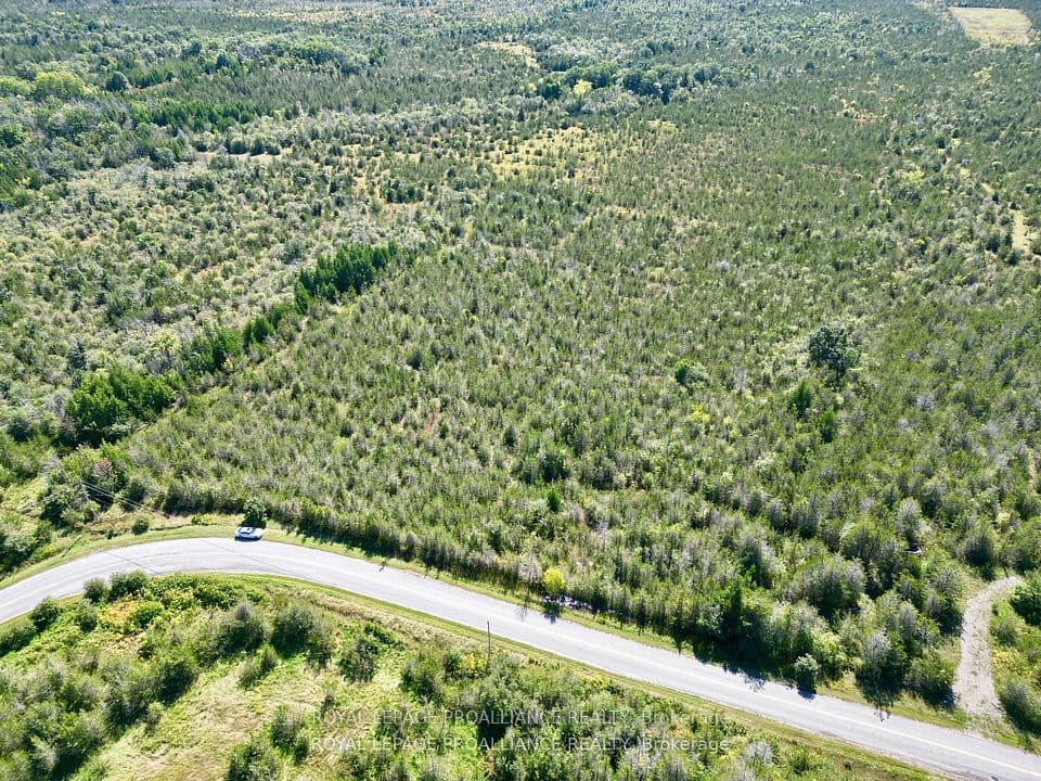 3526 County Road 13 Road, Prince Edward County, ON K0K 2T0 – photo 2