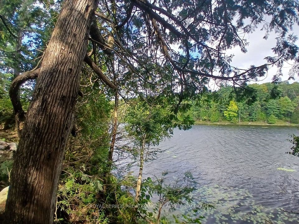 1030 Lodge Lane, Leeds and the Thousand Islands, ON K0H 1E0 – photo 2