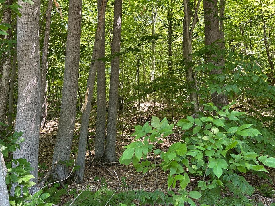 0 Tally Ho Winter Park Road, Lake of Bays, ON P1H 2J3 – photo 3