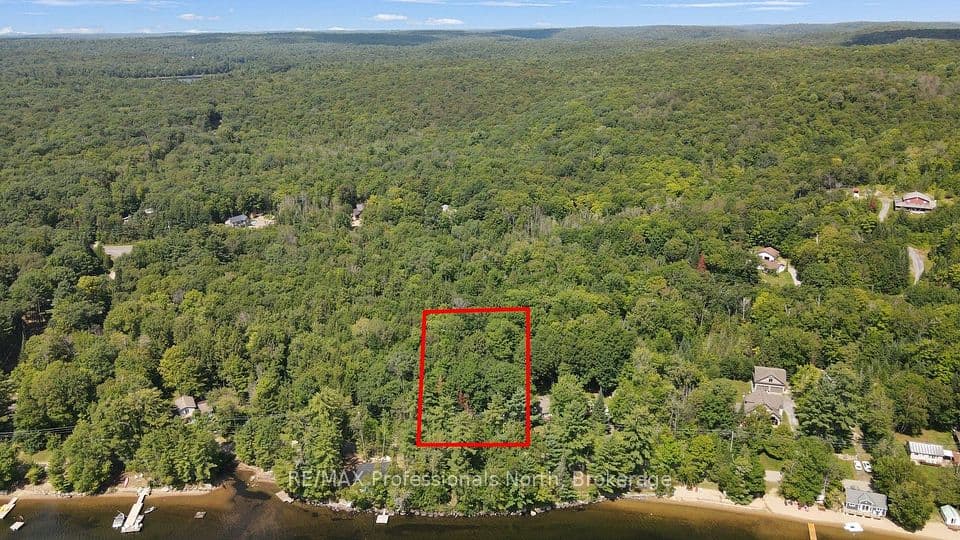 0 Halls Lake Road, Algonquin Highlands, ON K0M 1S0 – photo 3
