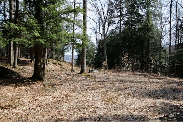 22 Gryffin Bluffs Lane 6, Huntsville, ON P0B 1M0 – main photo