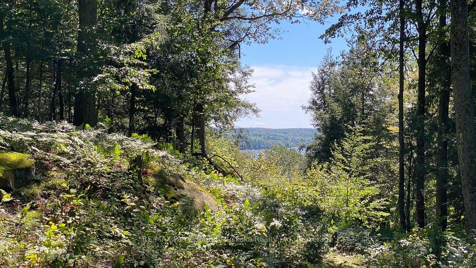 22 Gryffin Bluffs Lane 6, Huntsville, ON P0B 1M0 – photo 3