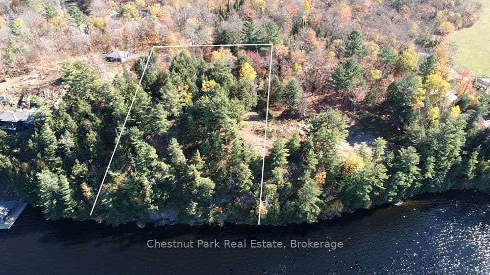 536 SPRINGFIELD Road, Huntsville, ON P1H 0H9 – photo 2