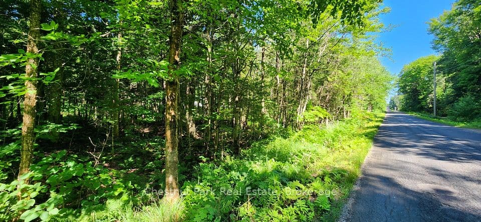 0 Skyline Drive, Armour, ON P0A 1C0 – photo 3