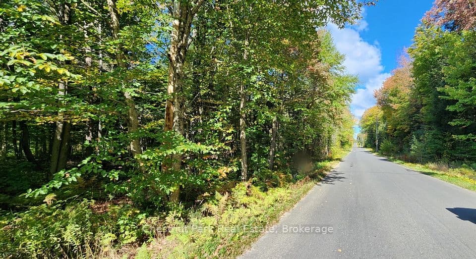0 Skyline Drive, Armour, ON P0A 1C0 – photo 2