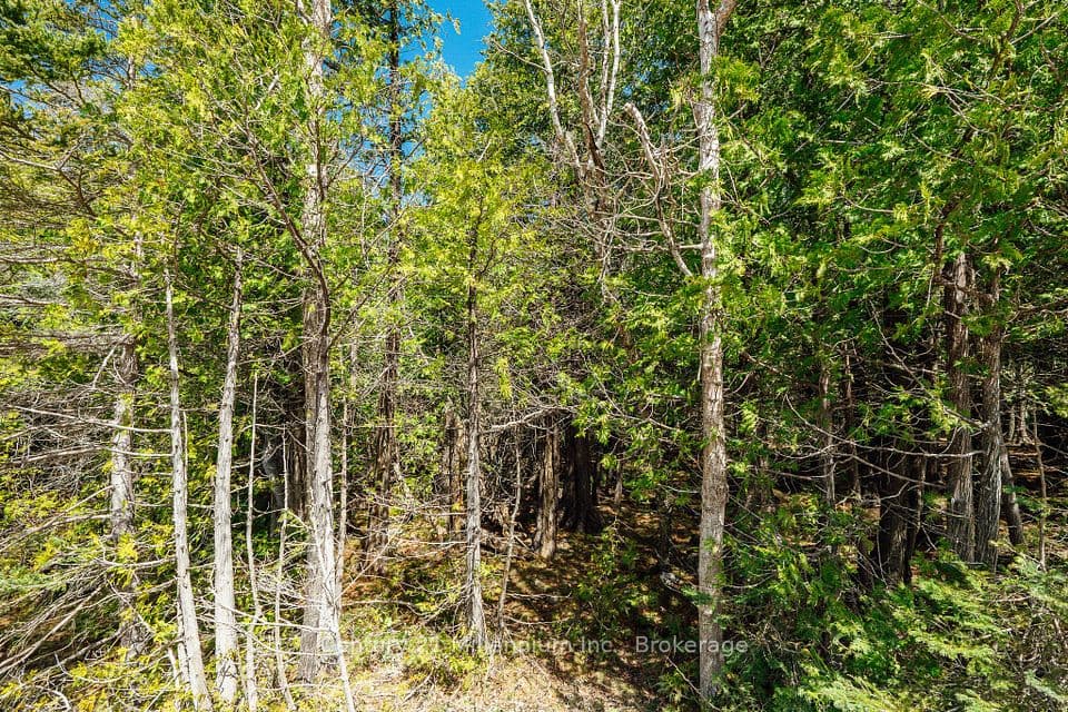 LT 12 CON 2 WBR LINDSAY, Northern Bruce Peninsula, ON N0H 1W0 – photo 2