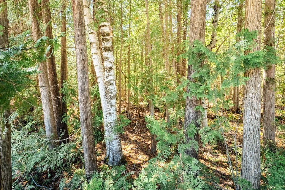 PT LT 24-25 CON 4 EBR, Northern Bruce Peninsula, ON N0H 1W0 – photo 2